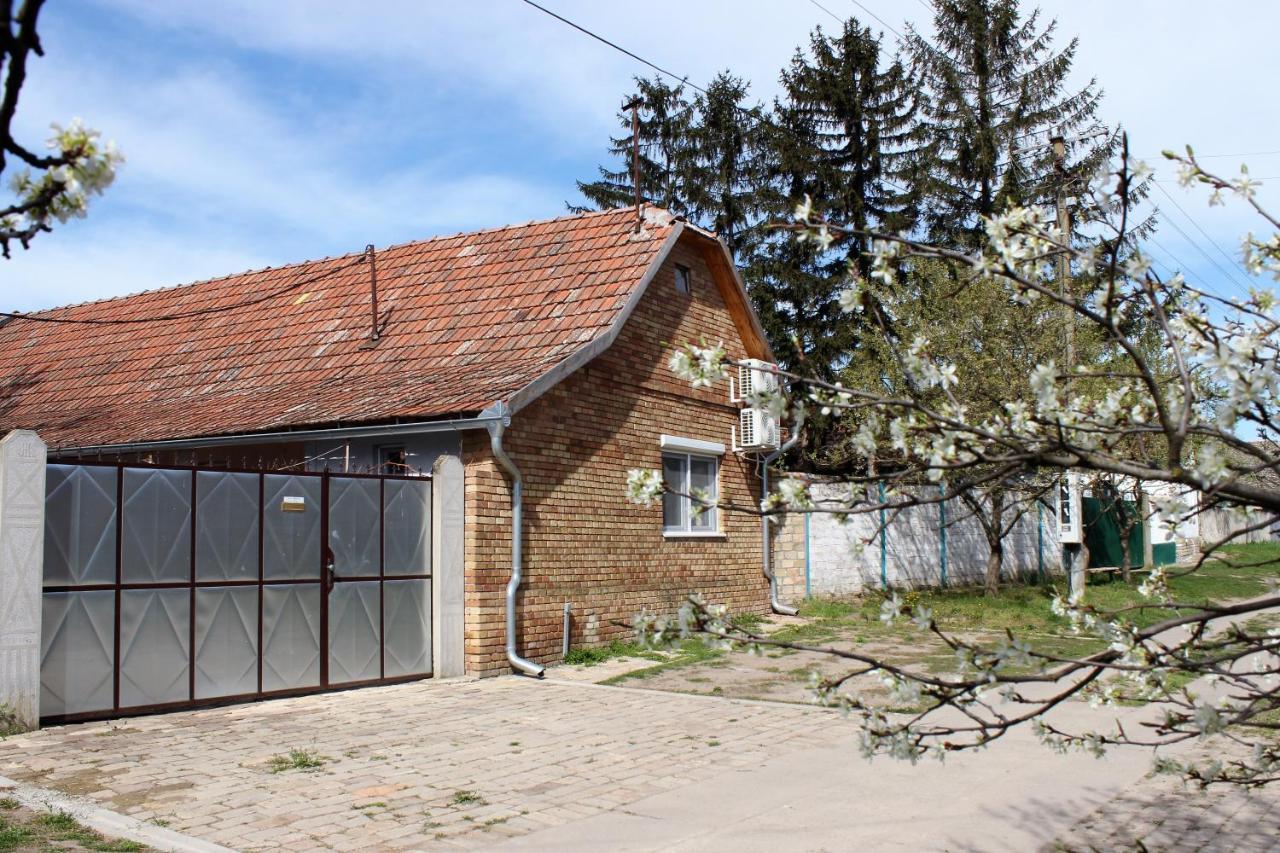 Julia Apartman Pacir Zewnętrze zdjęcie